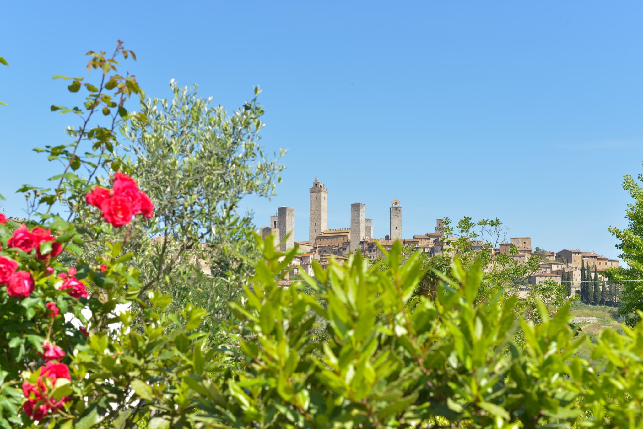 Food and History Tour: Siena and San Gimignano
