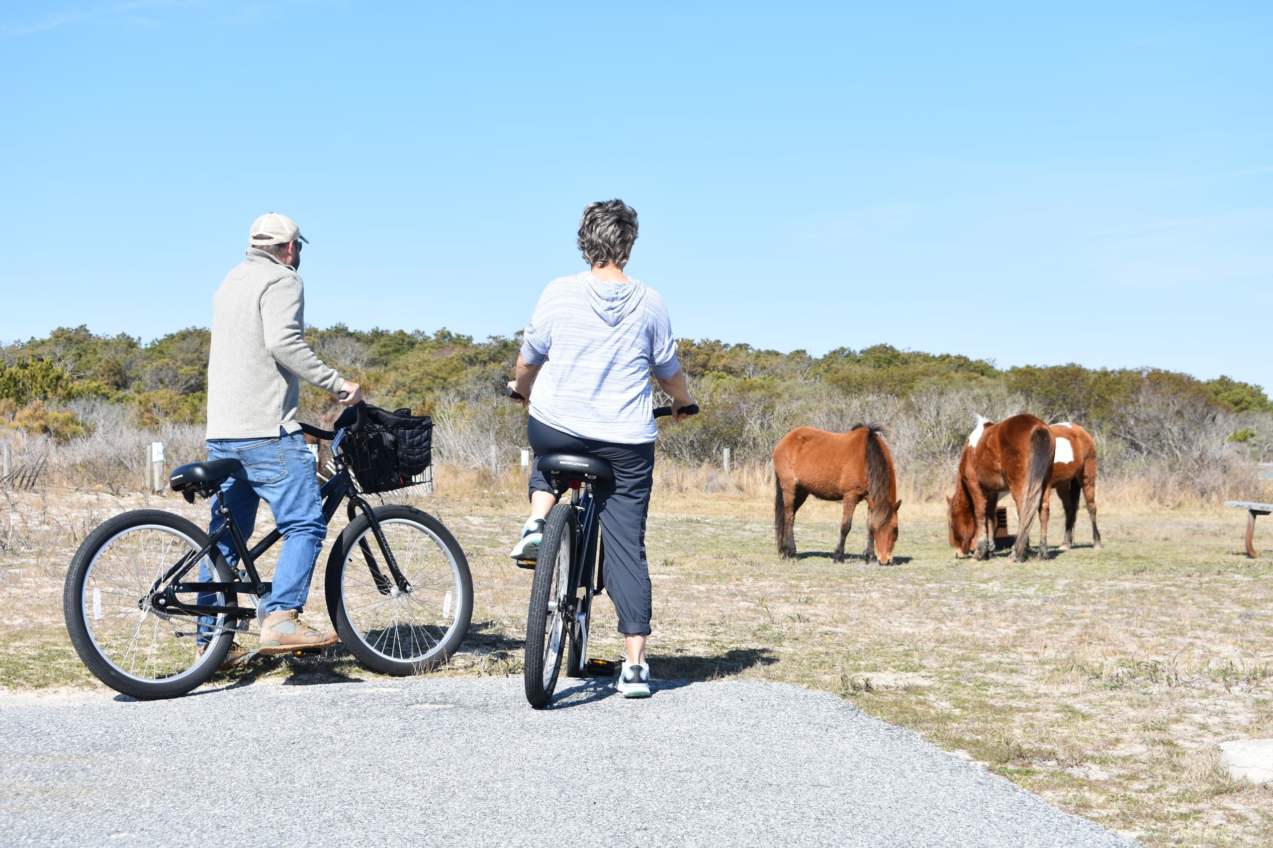 Overnight 24H Bike Rental- Visitor Center