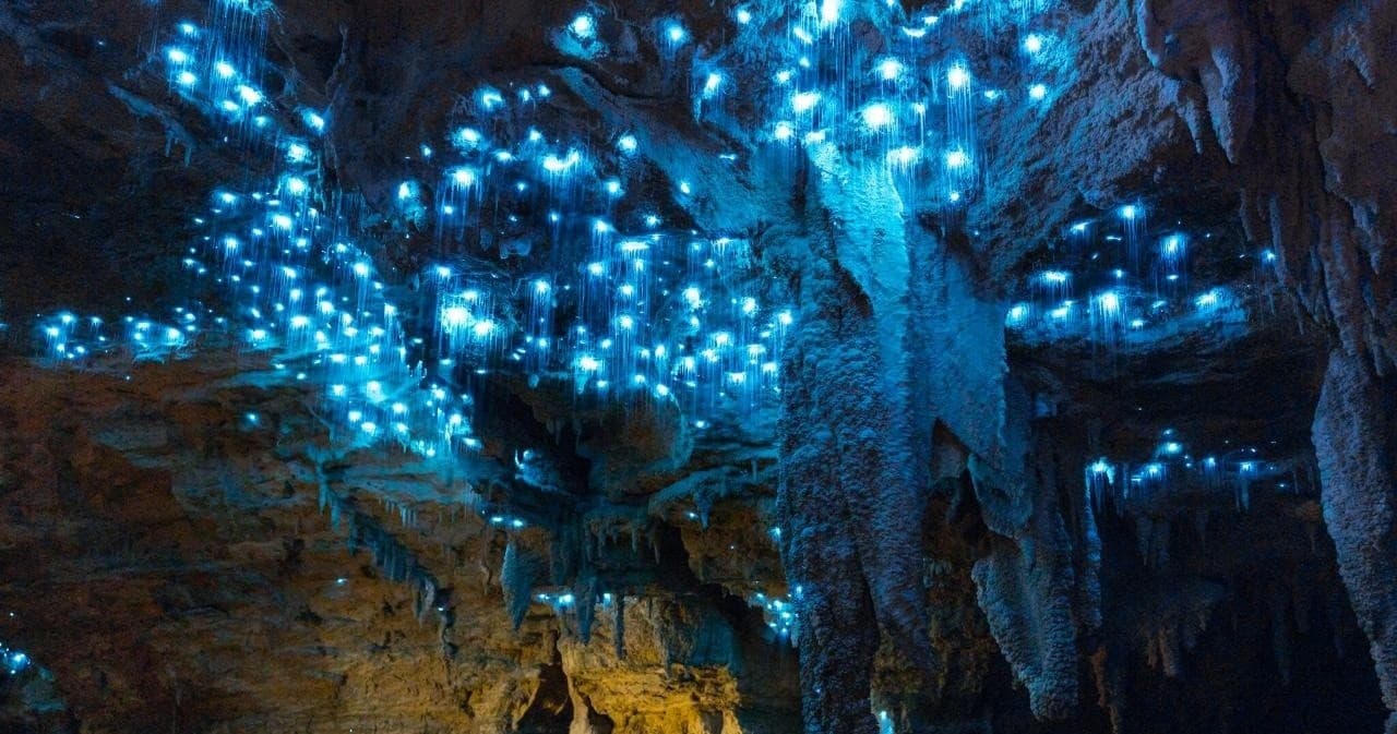 Lord of the Rings and The Hobbit 4 Day Private Tour from Auckland