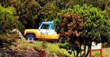 Half day Private Shore 4x4 Excursion