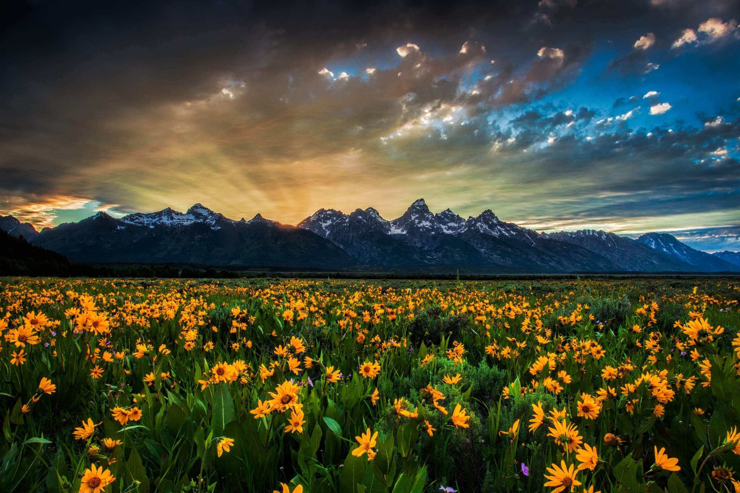 Sunset Tour of Grand Teton National Park