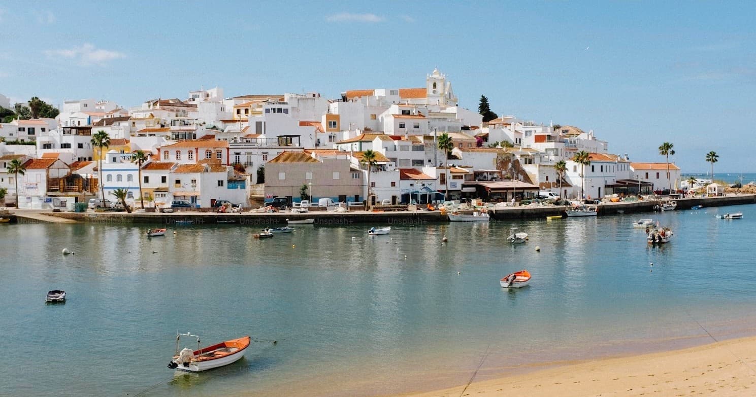 Private Tour- Luxury Van - Porto or Algarve