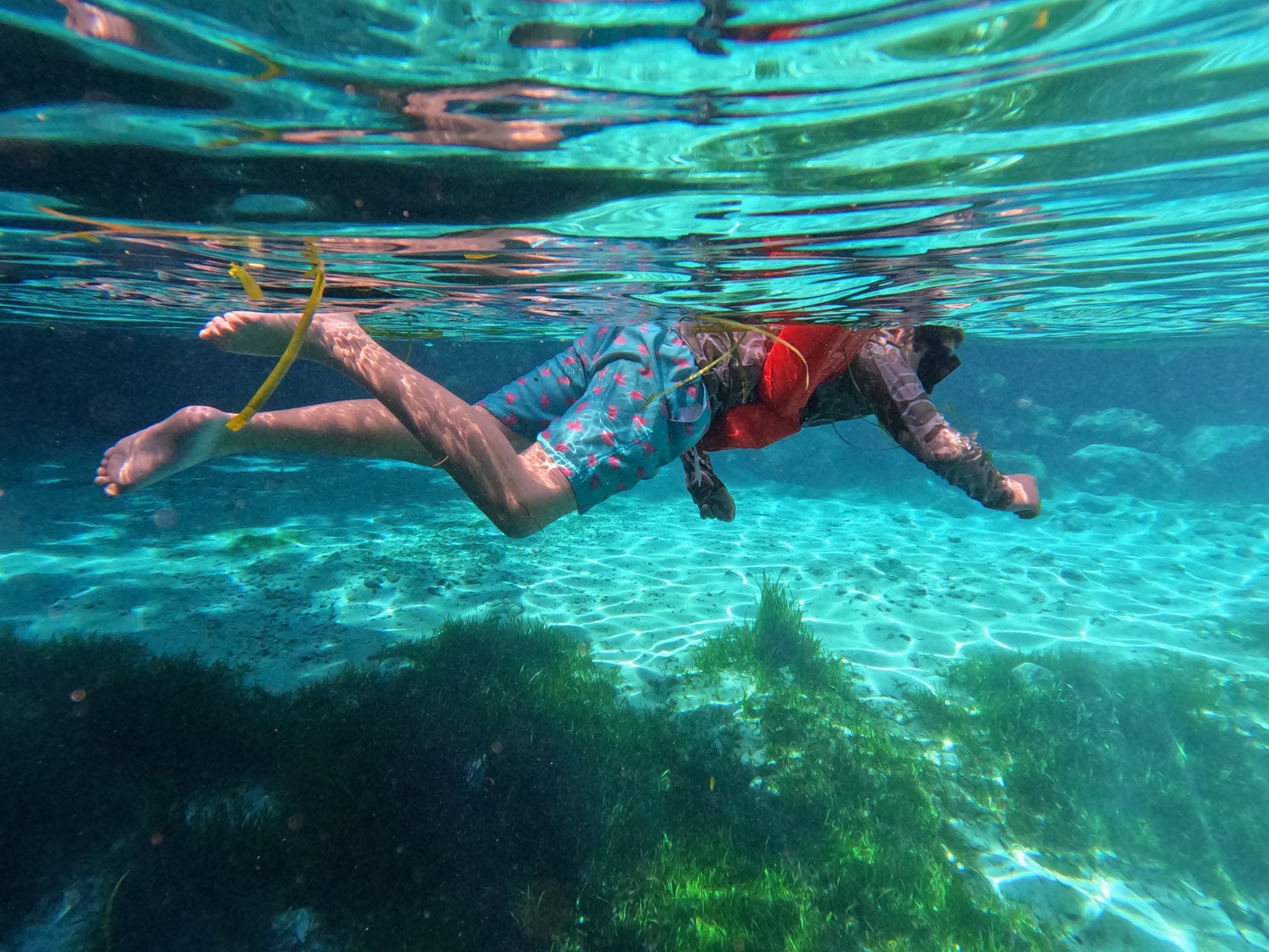 Three Sisters Springs All-Inclusive Kayak and Swim Tour, Crystal River