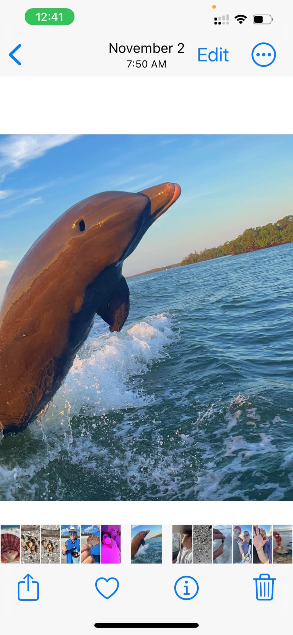 Dolphin & Island Picnic Tour