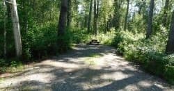 Camp Site 54