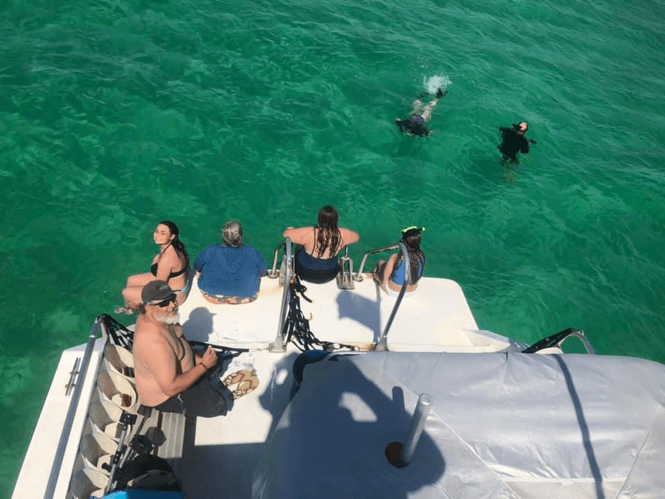Dolphin & Snorkeling Tour - Captain Coach" - Up to 6 Passengers (Split Charters or Private) 2 hours"