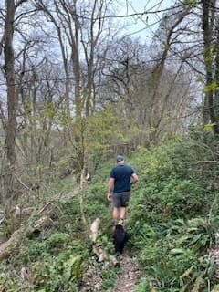 90 Minute Woodland Walk