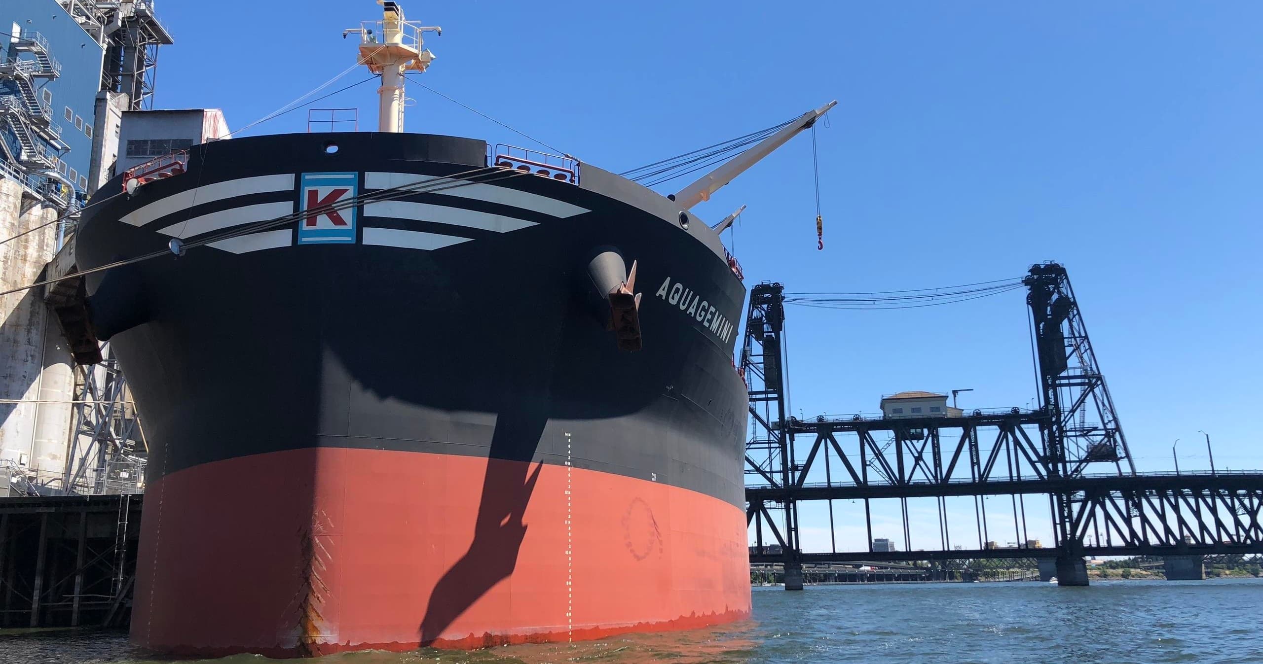 1-Hour Ships, Bridges & Waterfront Tour