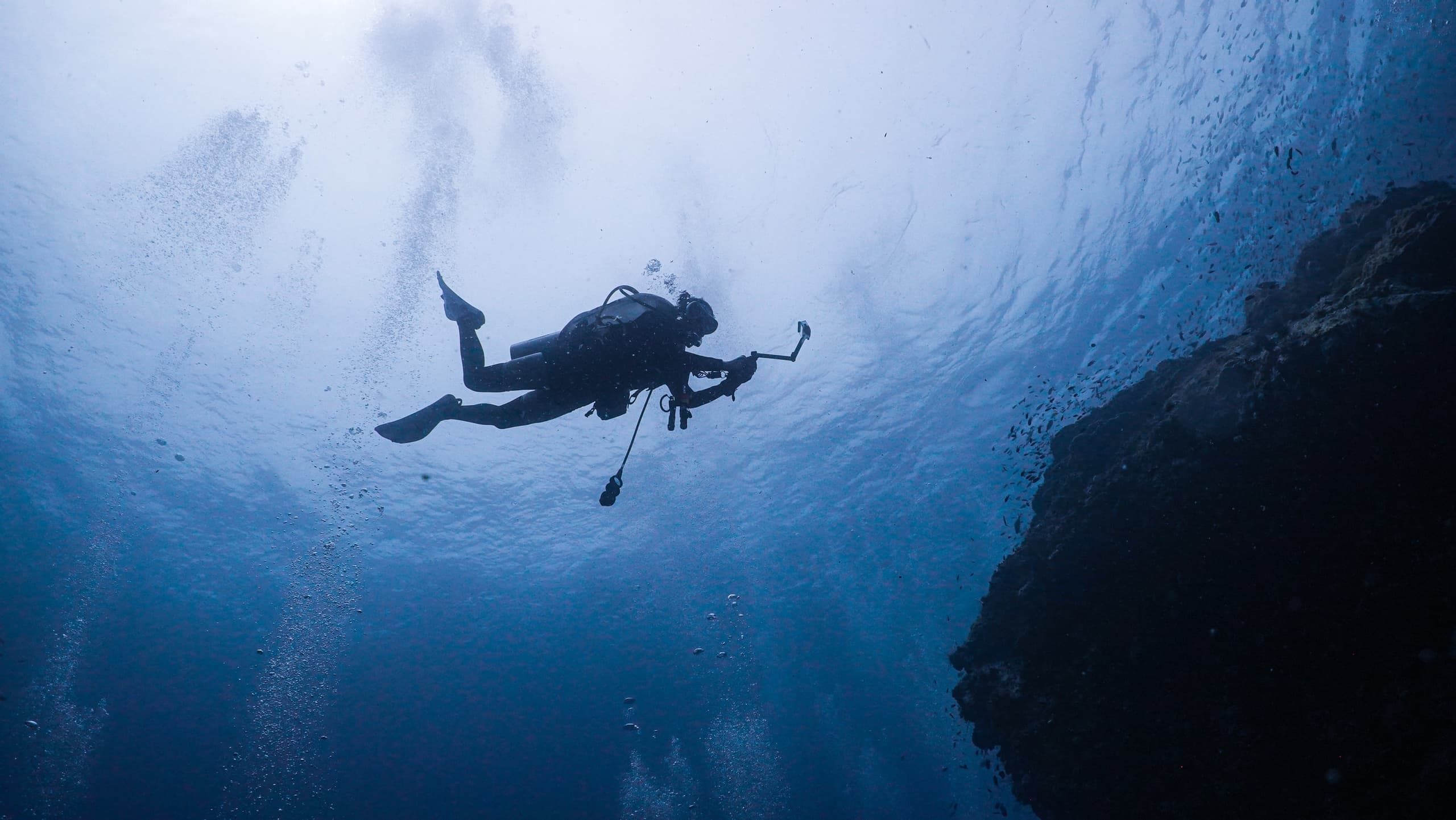 Bautizo de buceo