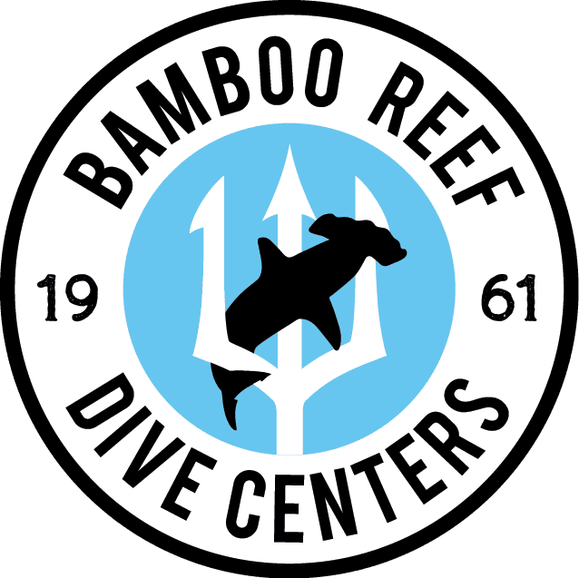 Bamboo Reef Dive Club - Silver Diver