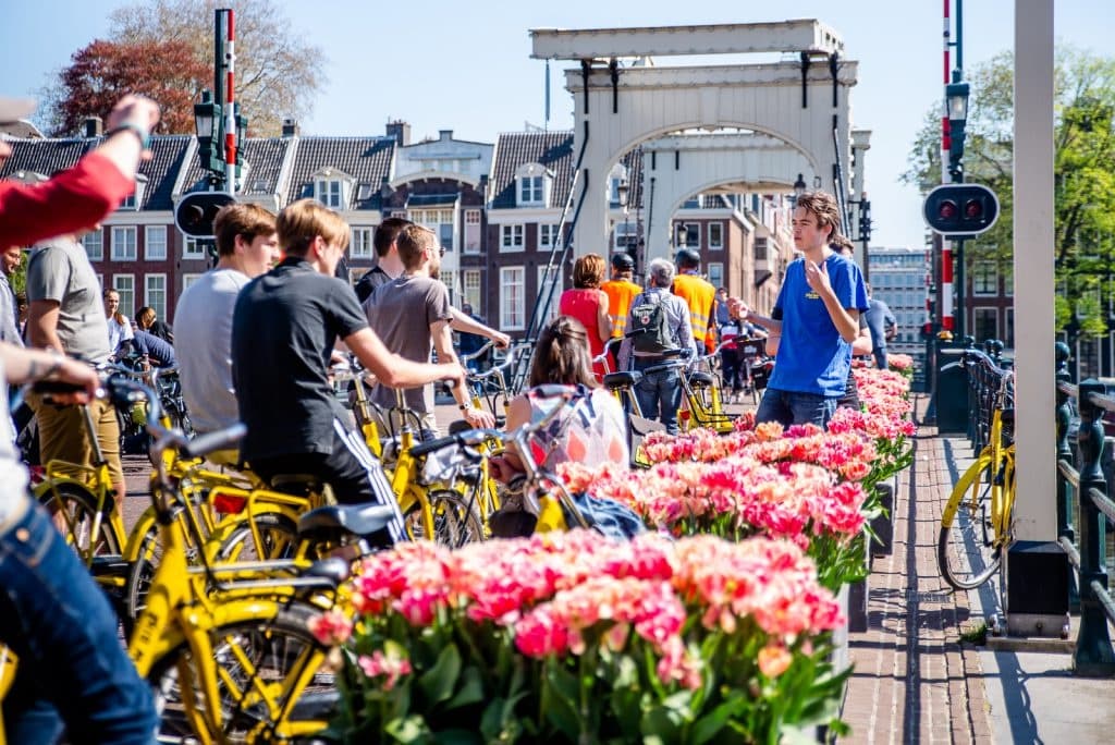 Grote E-biketour door Amsterdam