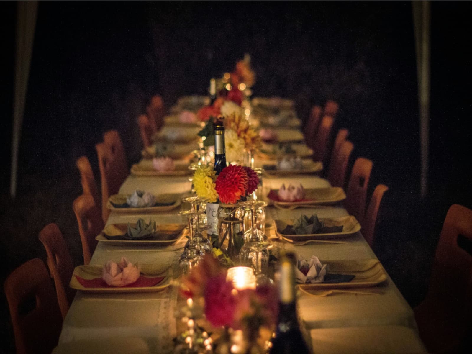 Cena in vigna in Puglia