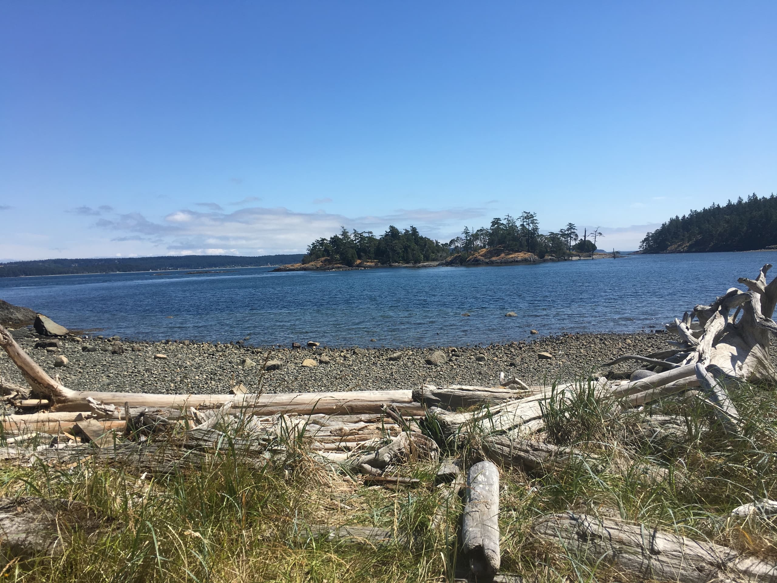 Friday Harbor Full Day Kayak Tour