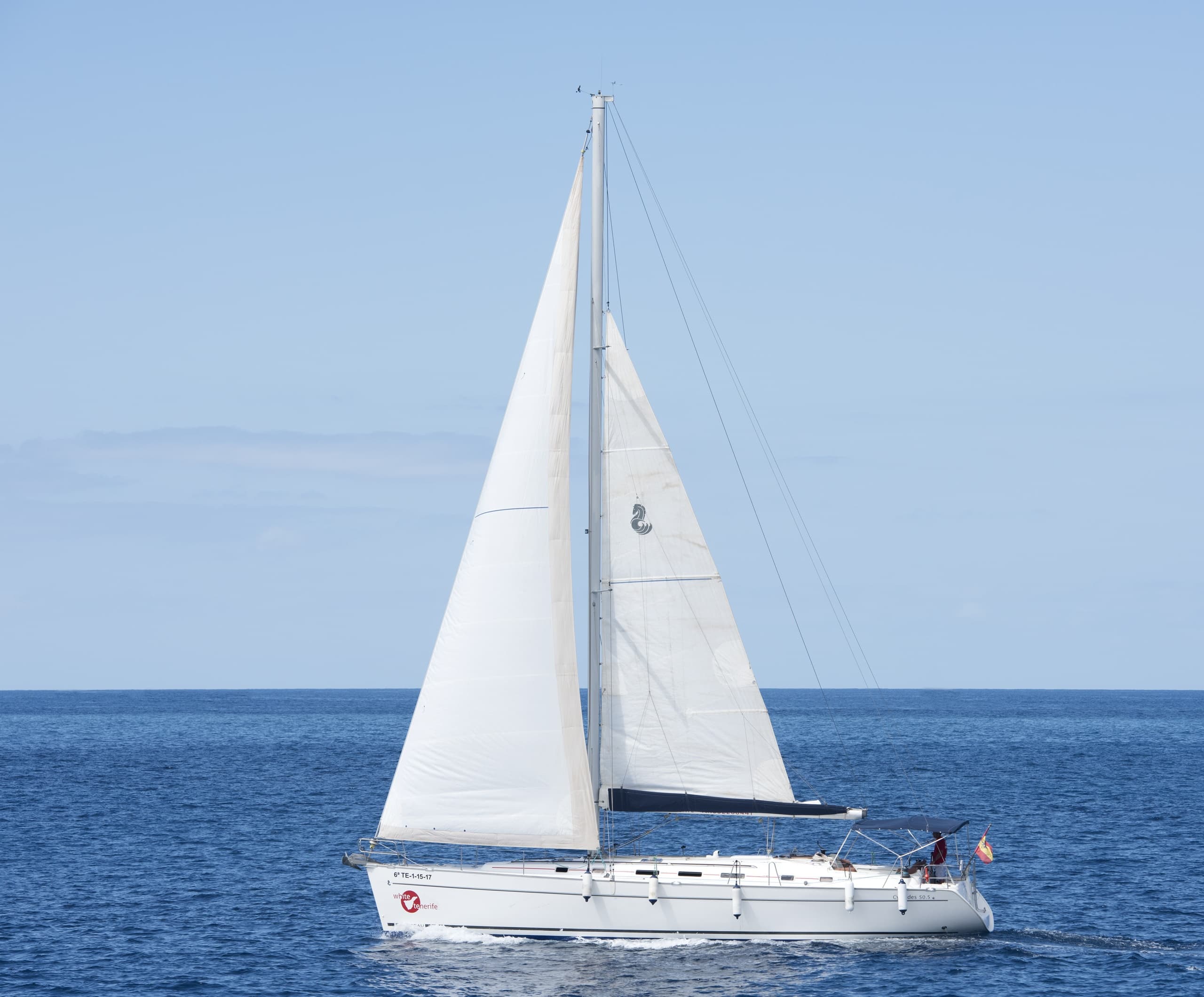 Avistamiento de ballenas y delfines en velero exclusivo (3 hrs.)