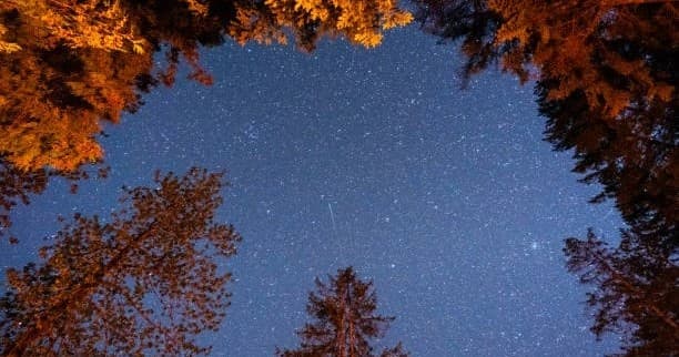 2 Hour Guided Walking Dark Sky Stargazing