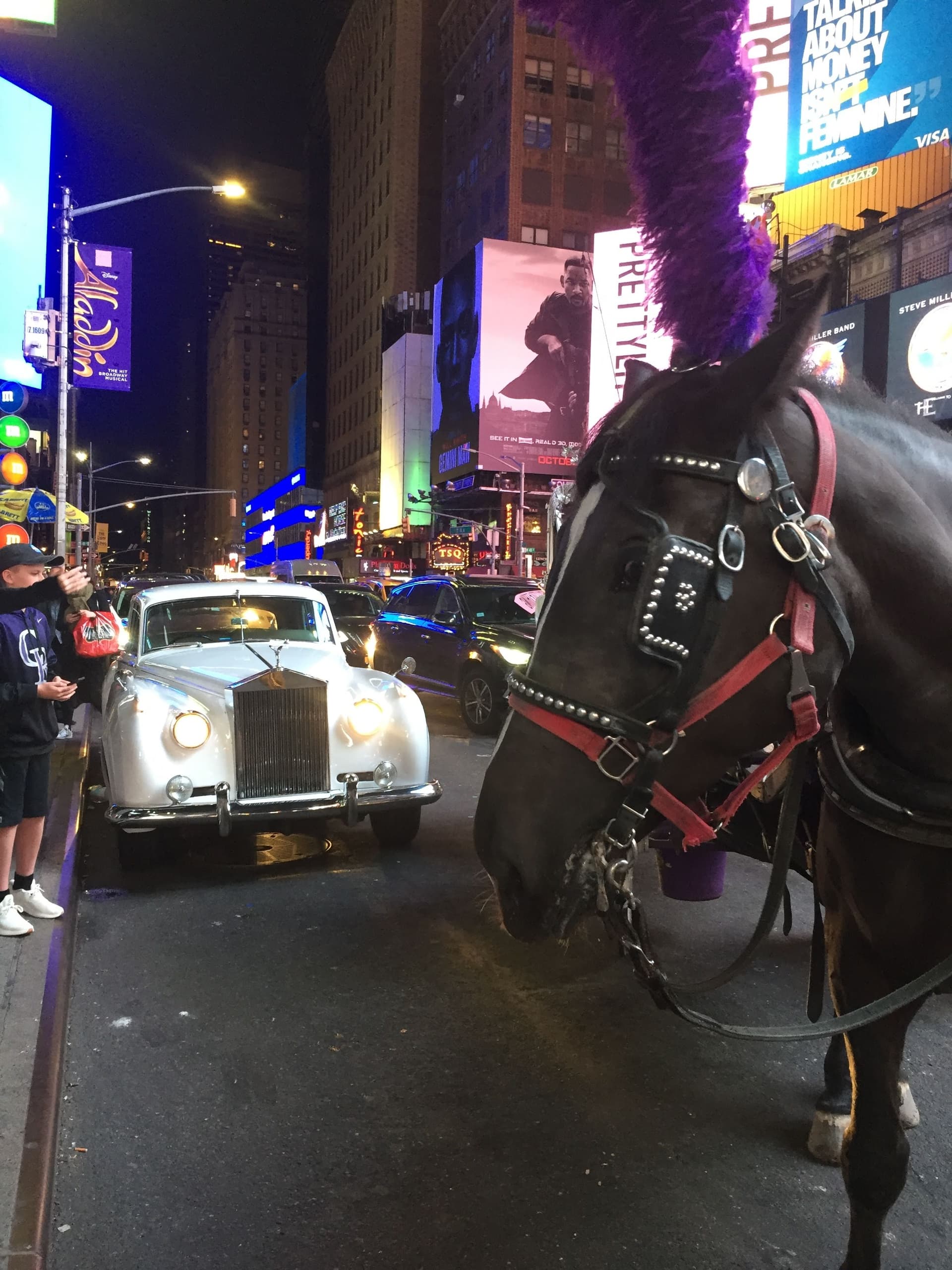 GRAND TOUR: Central Park, Rockefeller Center & Times Square Horse Carriage Ride