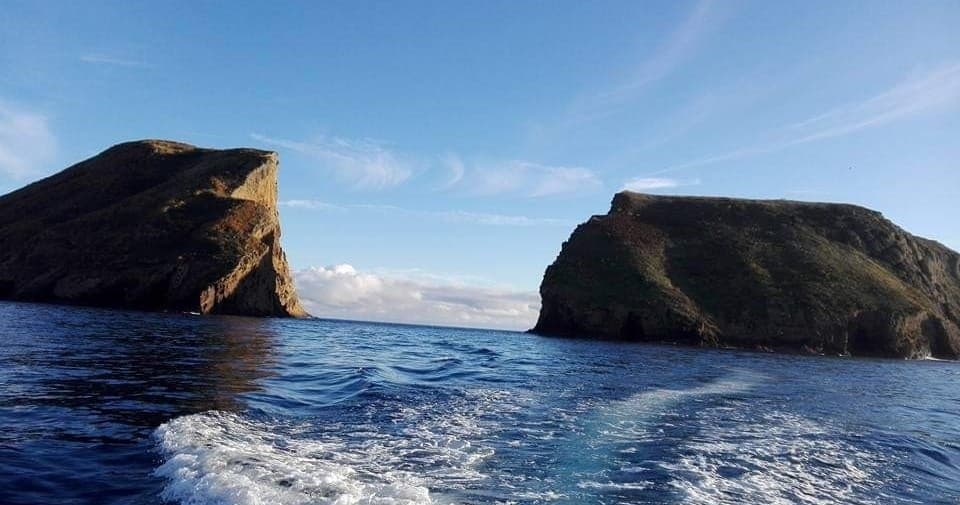 Passeio de barco  aos lhéus das Cabras com Snorkeling