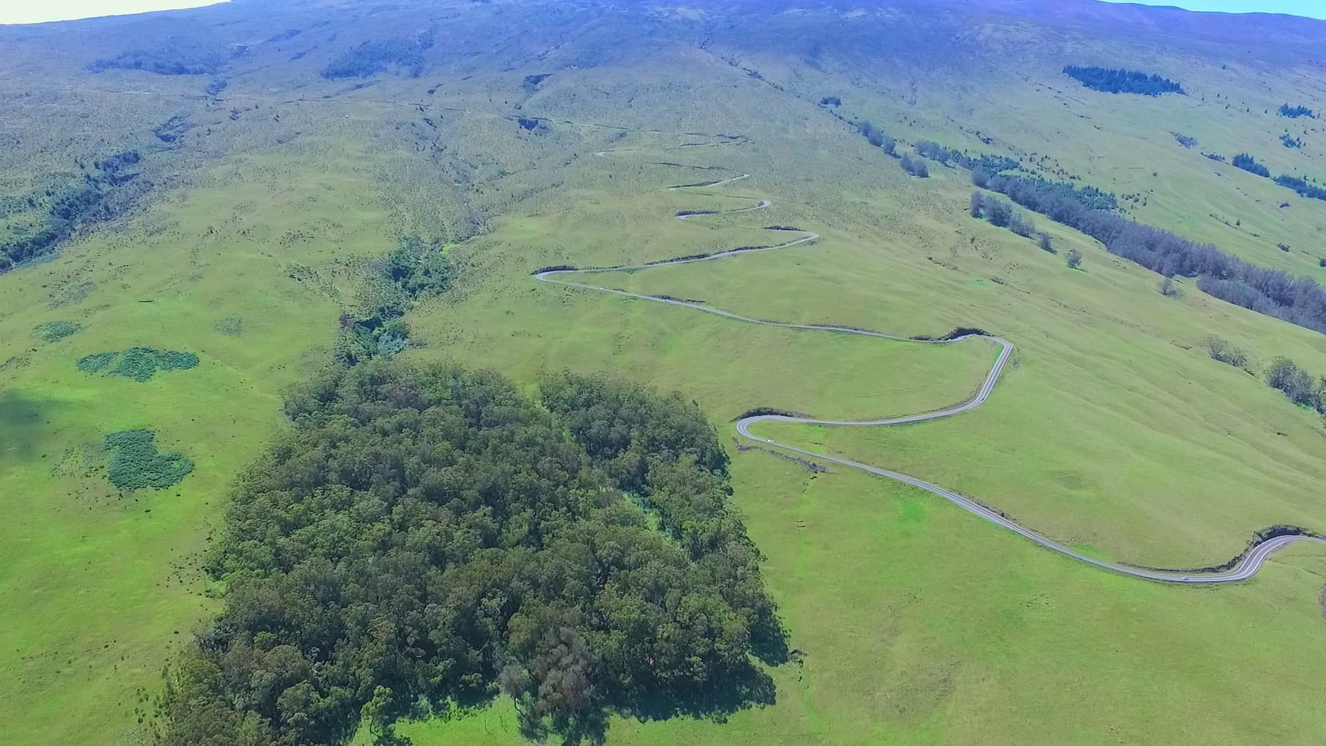 Haleakala Downhill Upcountry Bike Tour