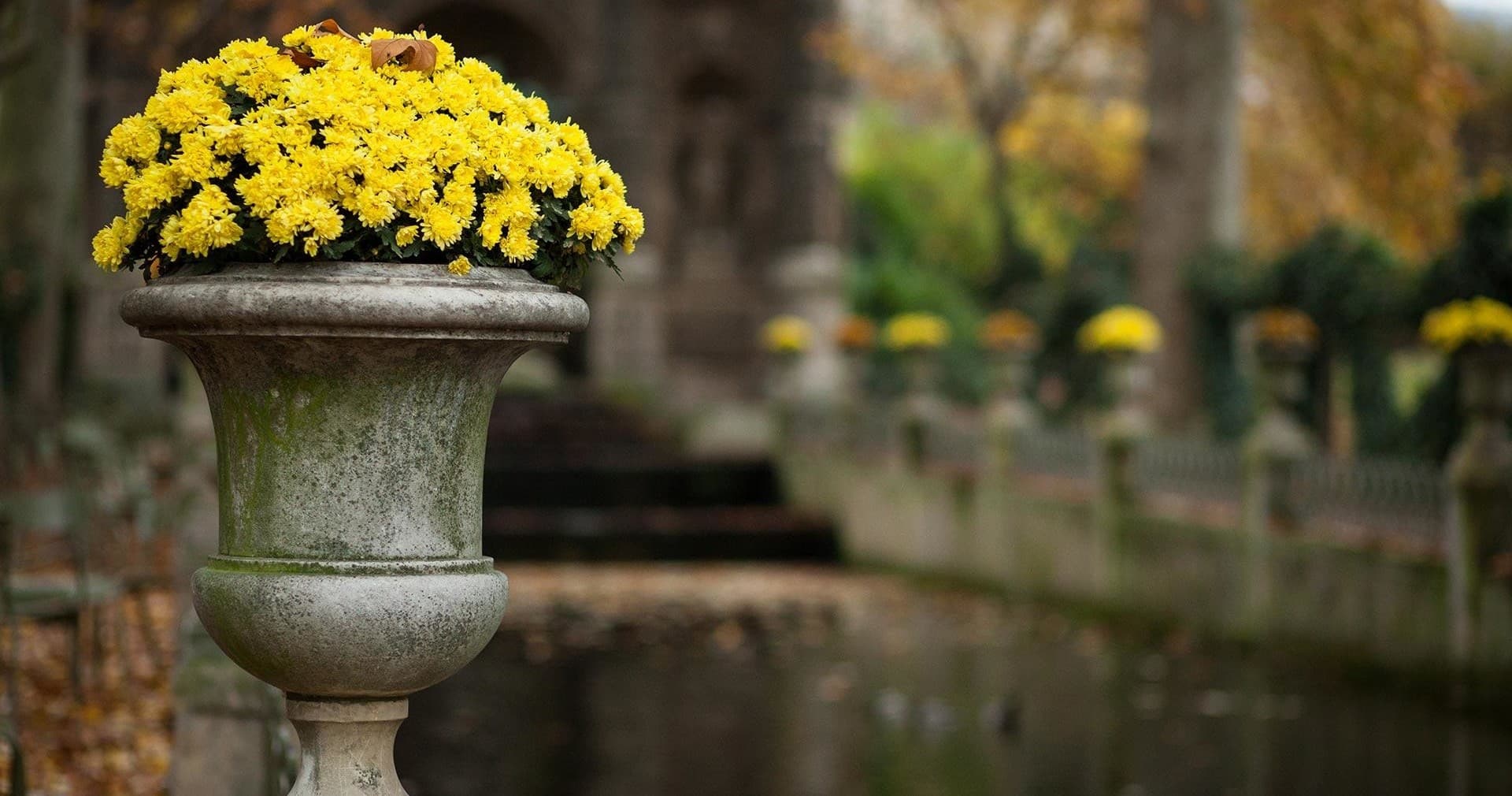 Latin Quarter Private Tour