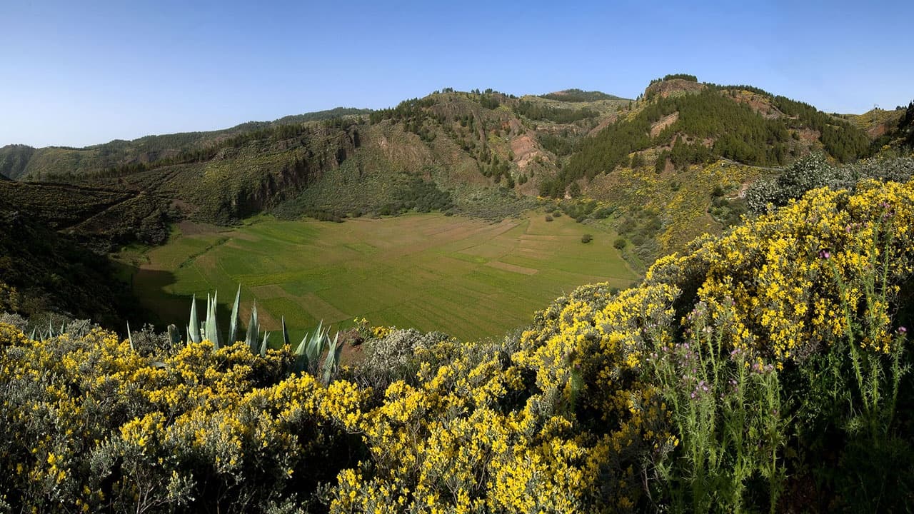 Gran Canaria Histórica