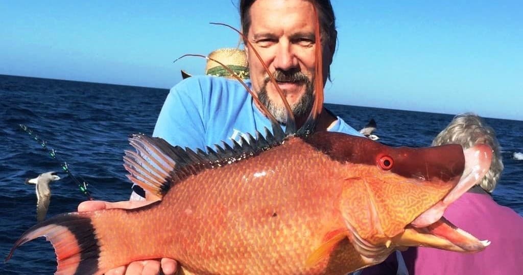 5 Hour Half Day Fishing Trip