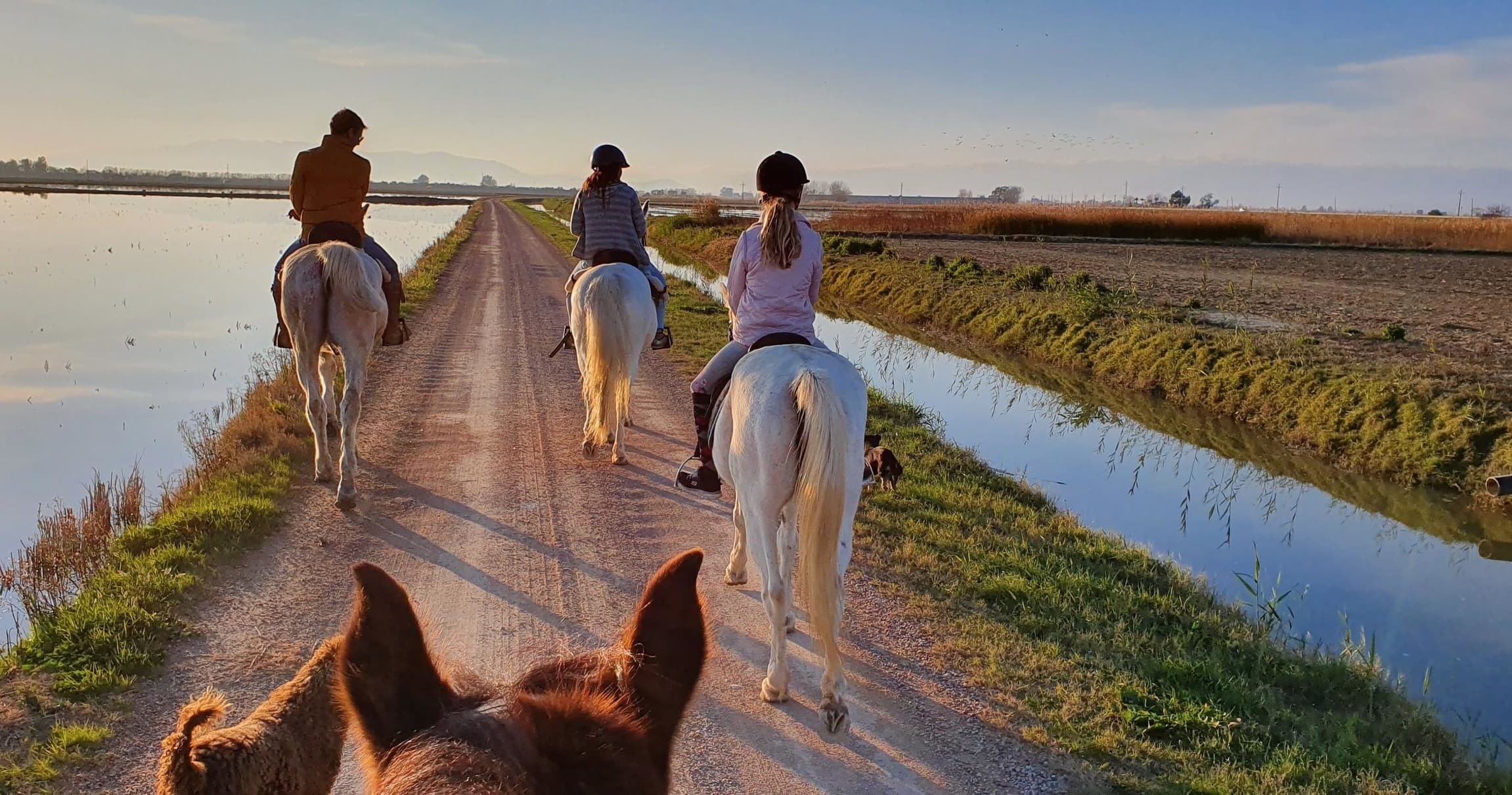 Paseo a caballo por el Delta Del Ebro