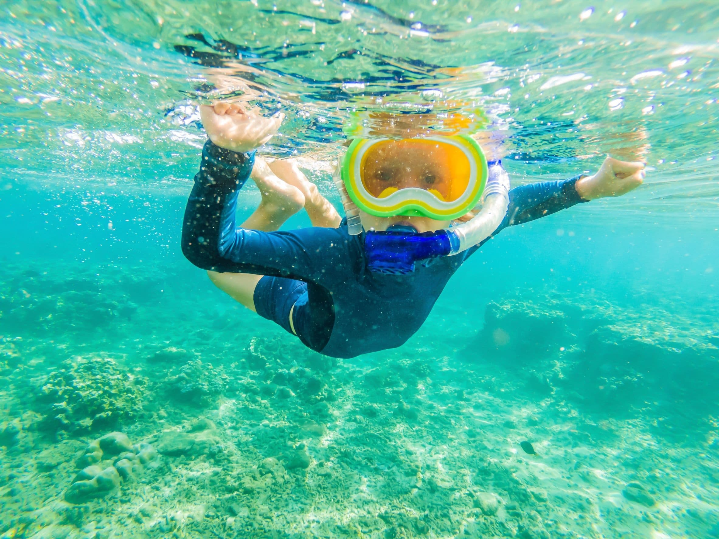 Premium Snorkeling Charter