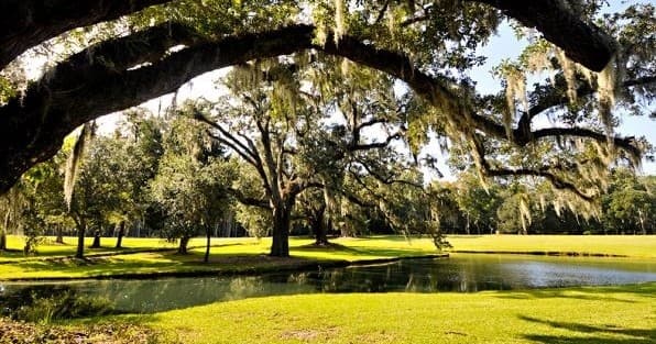 A Day at Drayton Hall