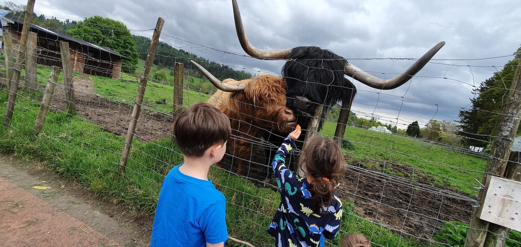 Tours with Children (Private)
