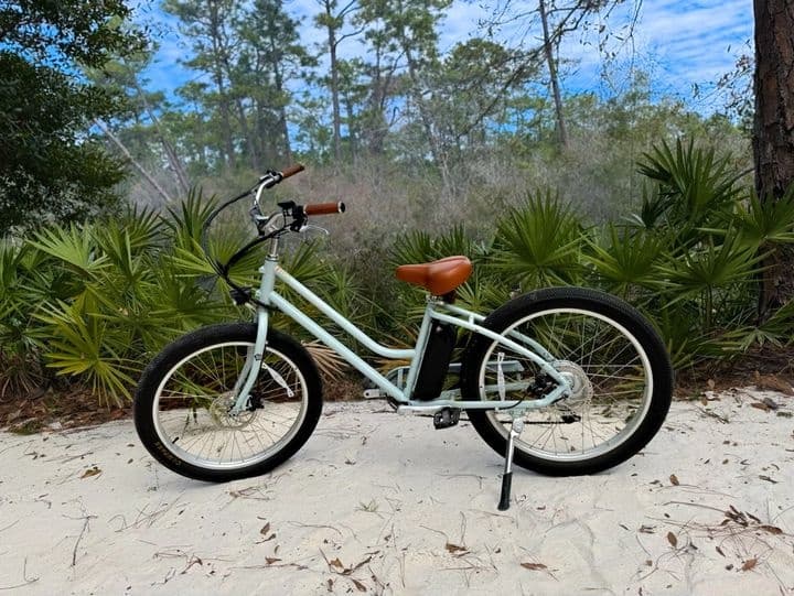 Full Day E-bike Rentals