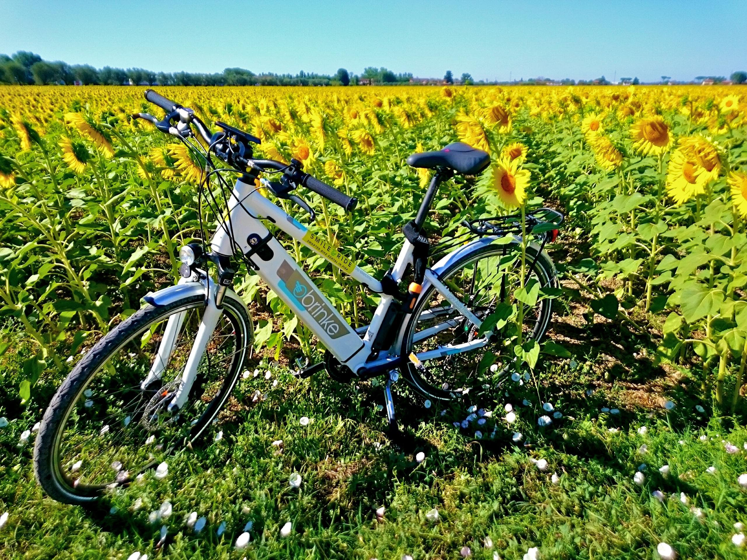 La via dell'acquedotto Tour con App + Itinerario