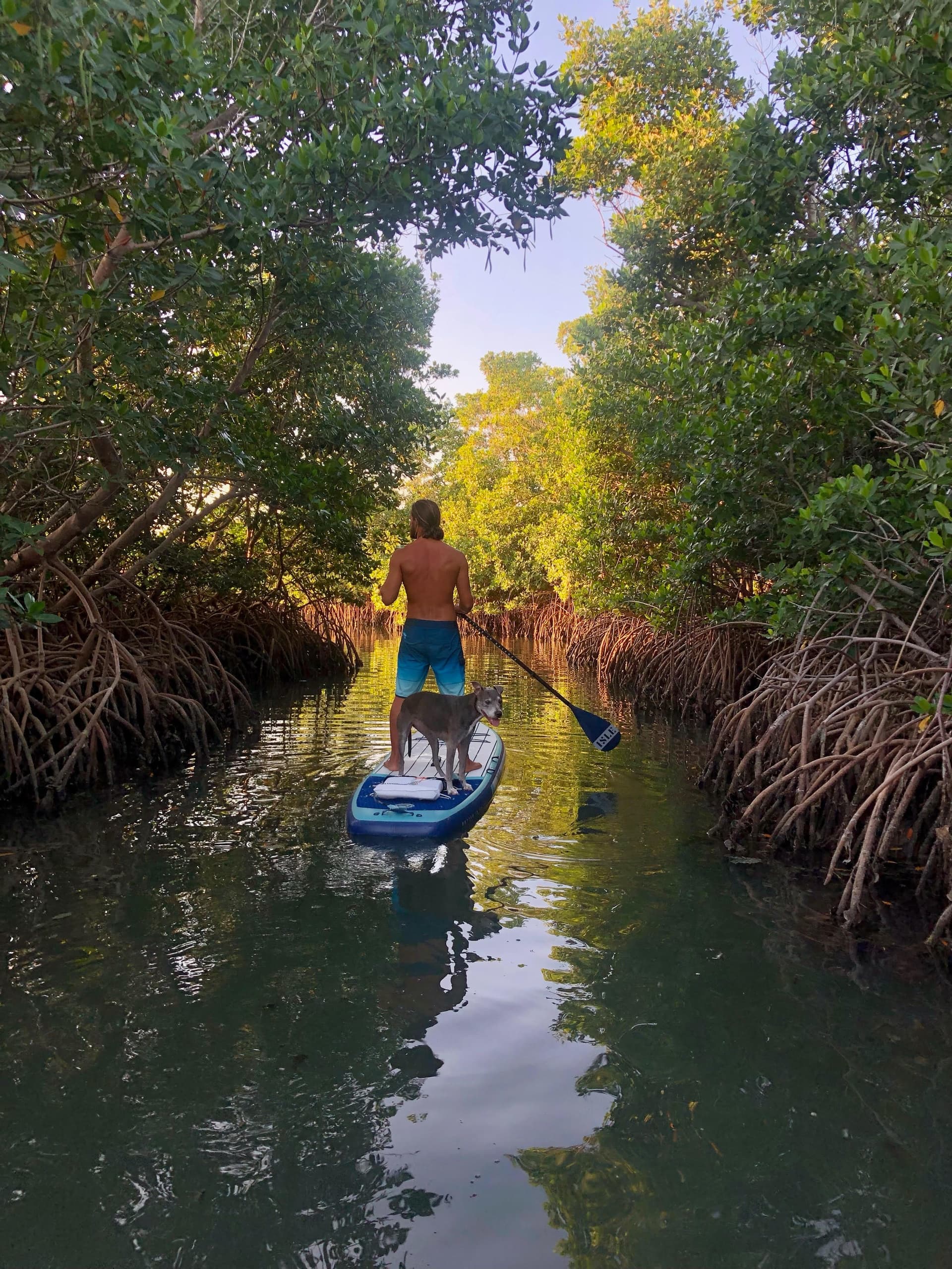 2 Hour Paddleboard Rental