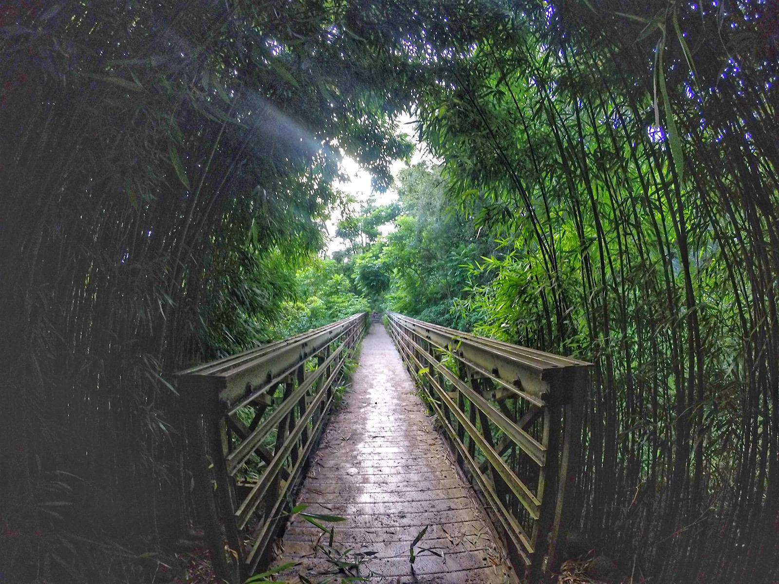 7 Sacred Pools & Bamboo Forest Hike