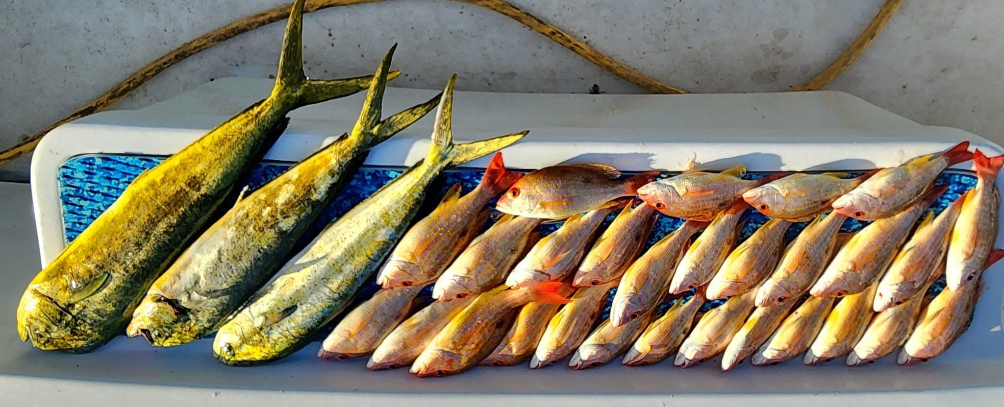 Private Inshore Fishing Charter