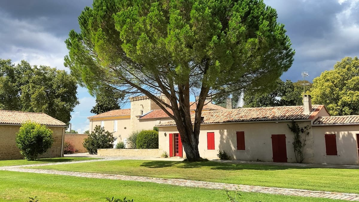 From Bordeaux to Sauternes