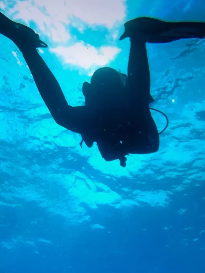 Scuba Diving Charter