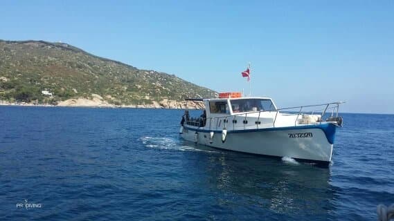 Giro in barca all'isola del Giglio con snorkeling