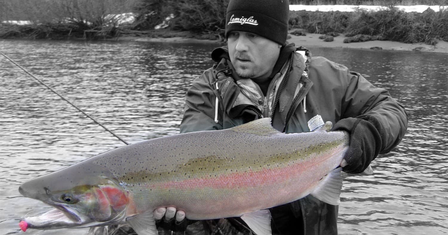 Half Day Kasilof Steelhead Fishing