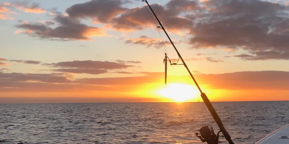Sunset Cruise