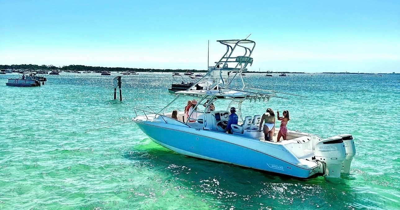 Bimini Bear