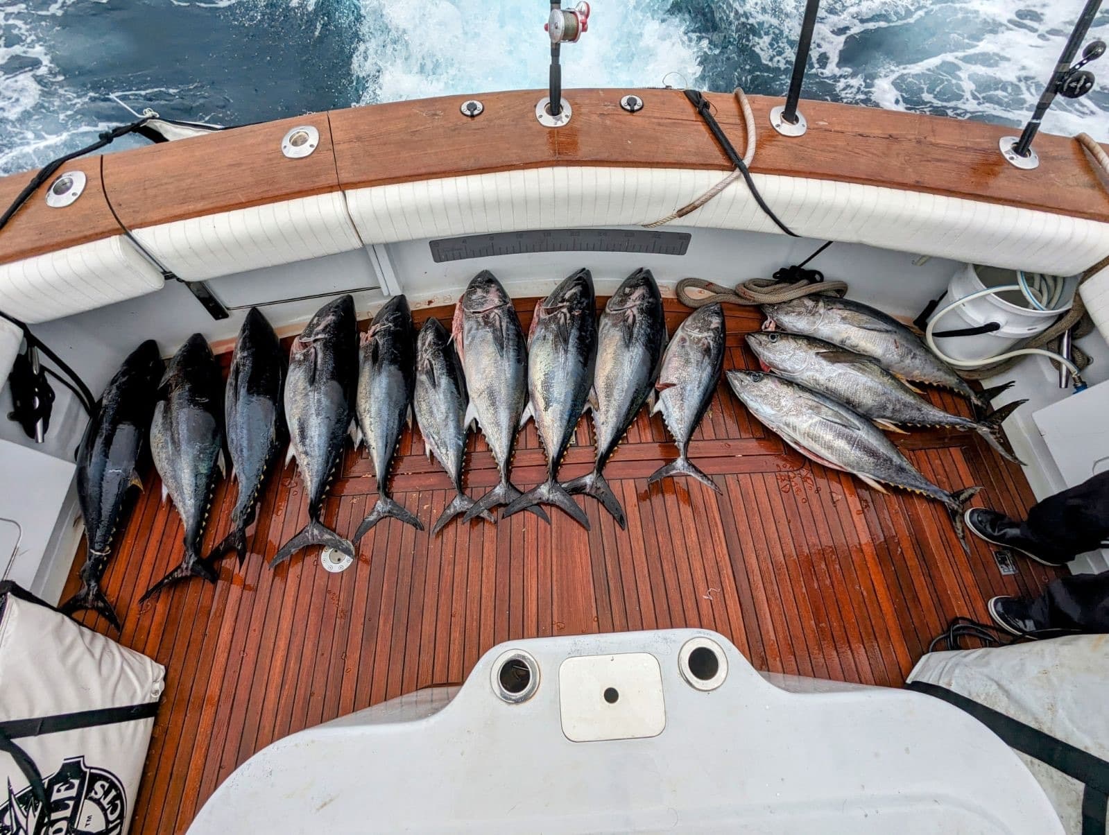 Full Day Fishing Experience