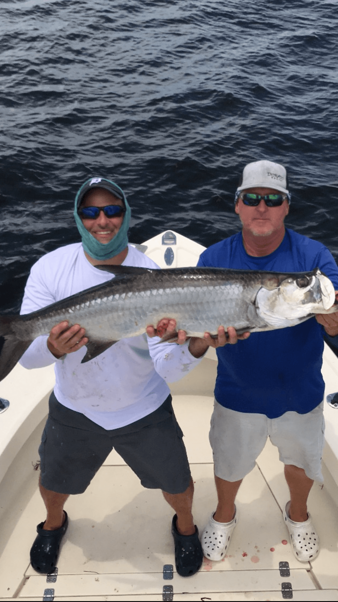 Eight Hour Tampa Tarpon Fishing