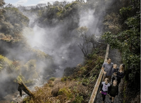 Te Manaroa Spring Eco Walk