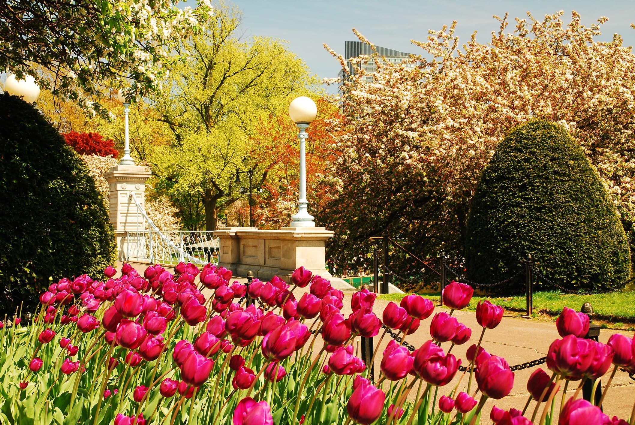 Picture Perfect: Boston Common, Beacon Hill, & Public Garden Group Tour with Photoshoot
