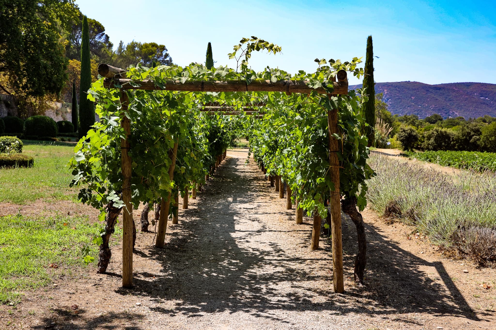 The wines of the Luberon, the Bastide du Laval mill & olive oil, village of Lourmarin & Renaissance Château & Bonnieux