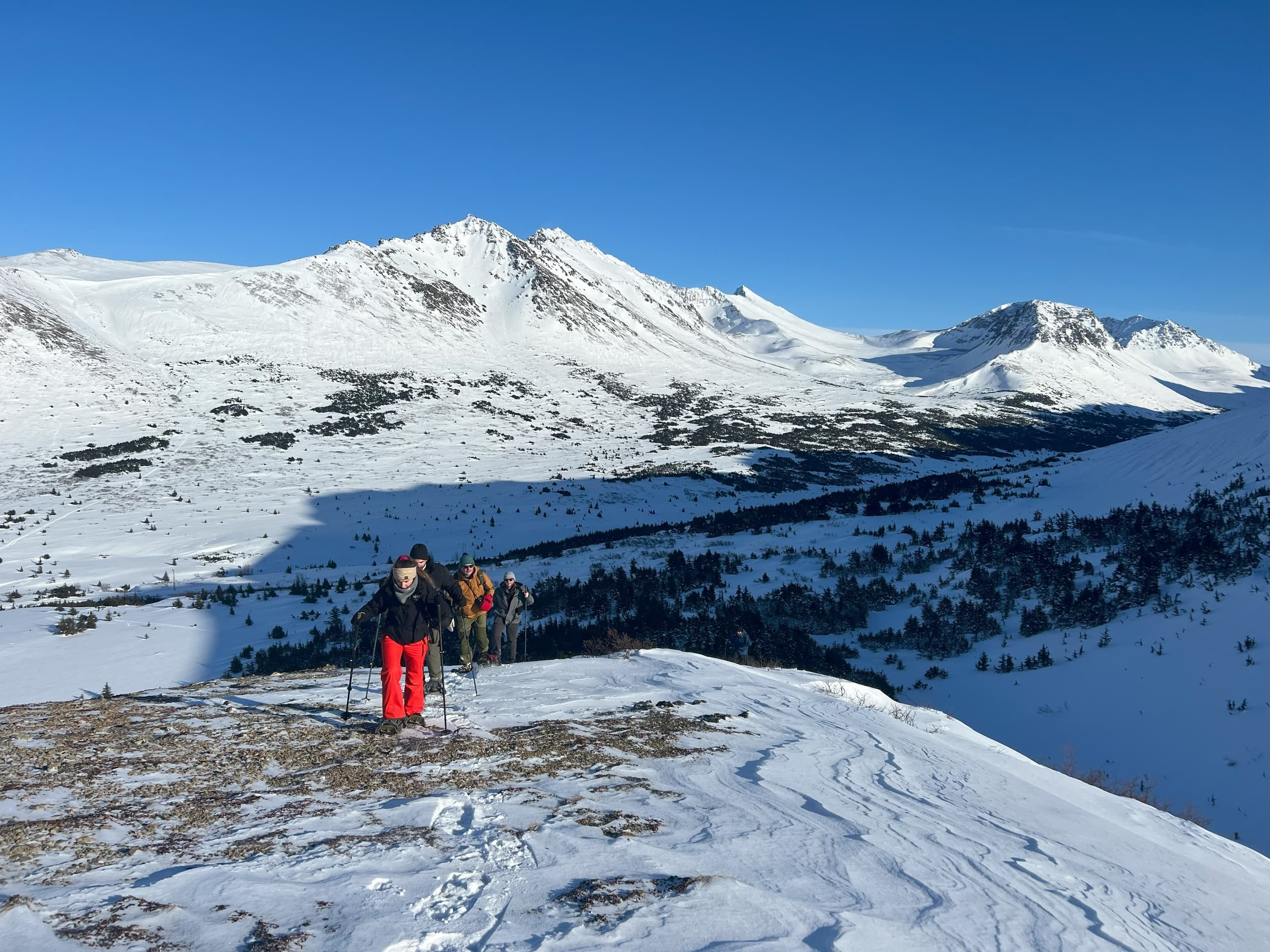 Beginner's Snowshoeing Adventure