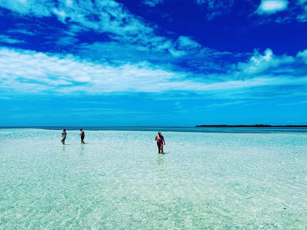 Four Hour Guided Private Sandbar Tour