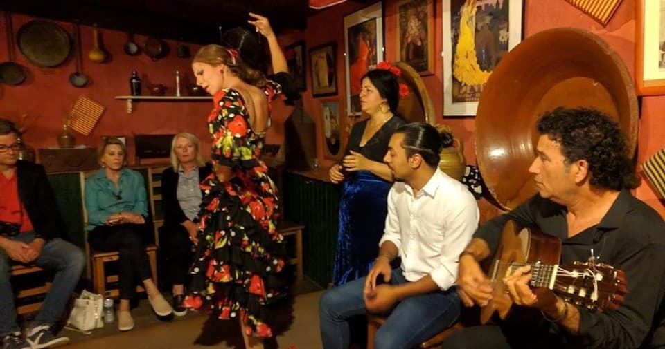 Flamenco Introduction Class