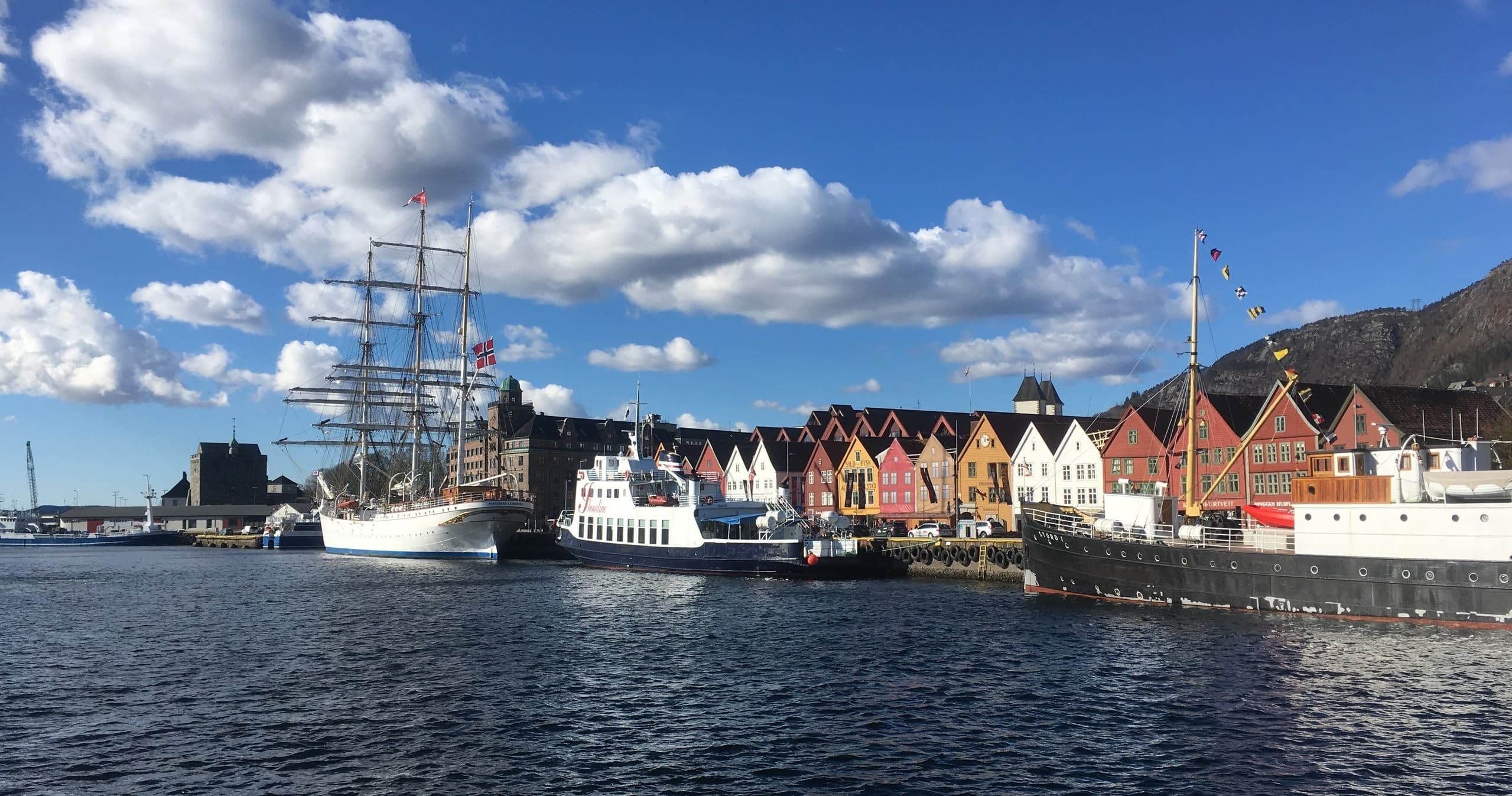 PRIVATE TOUR: Bergen city sightseeing, 3 hours