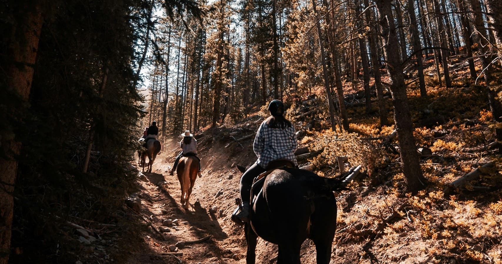 Trail Rides